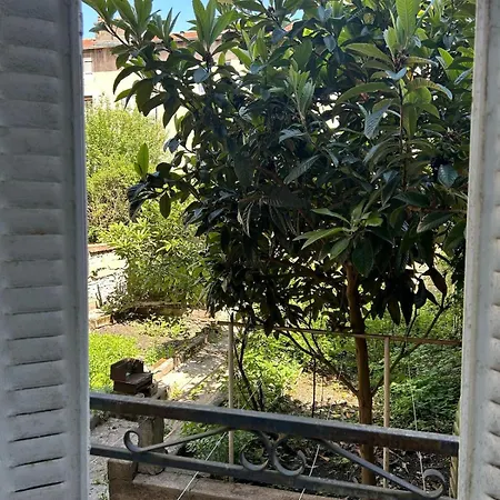 Calme Avec Jardin Apartman Nancy