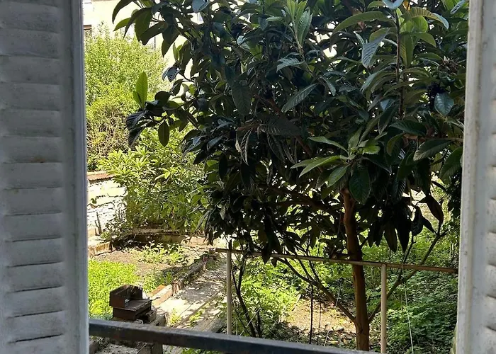 Calme Avec Jardin Apartman Nancy